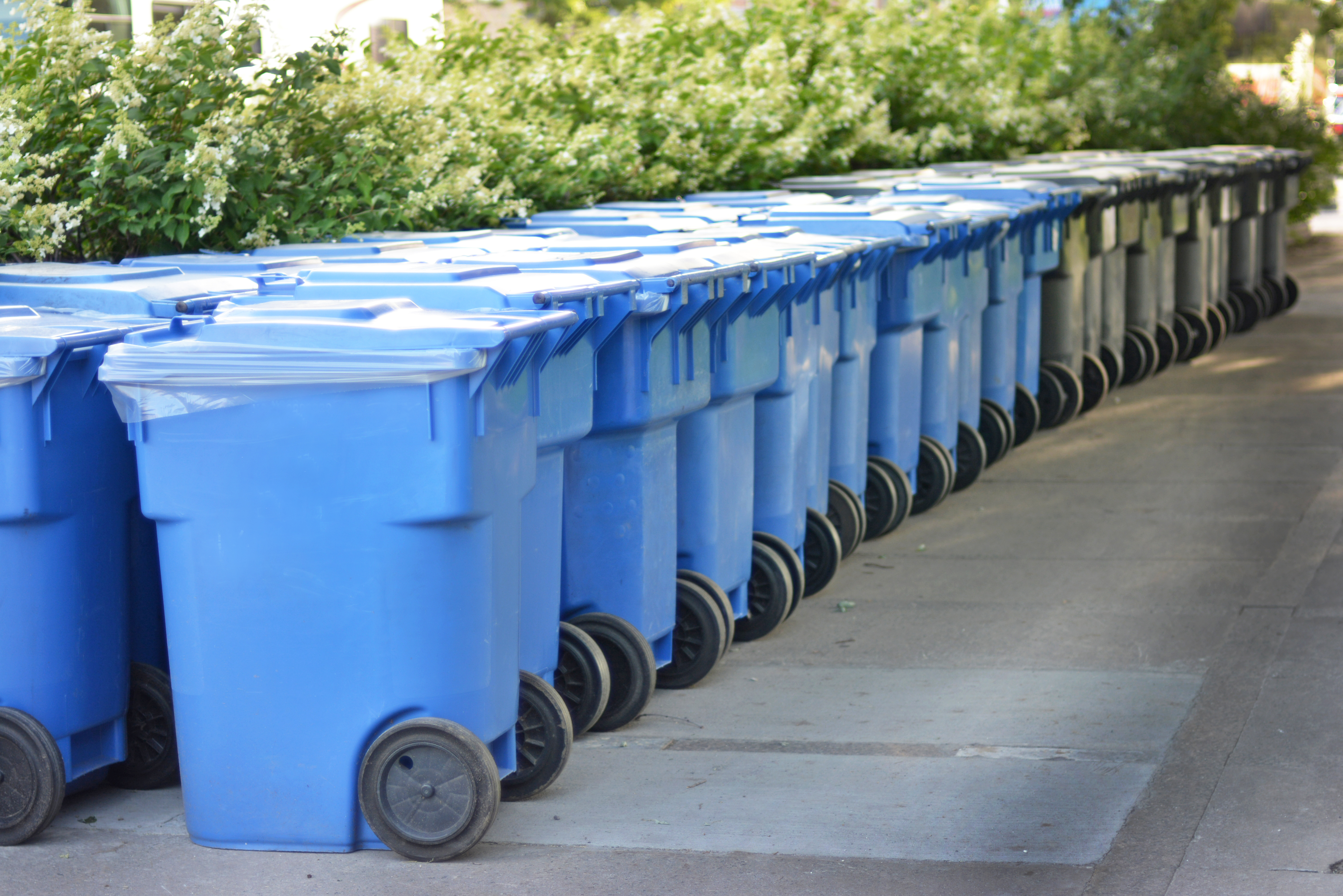 Modern,Garbage,Bin,In,Canada.
